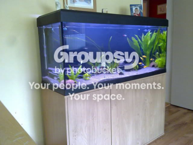 080620111129.jpg