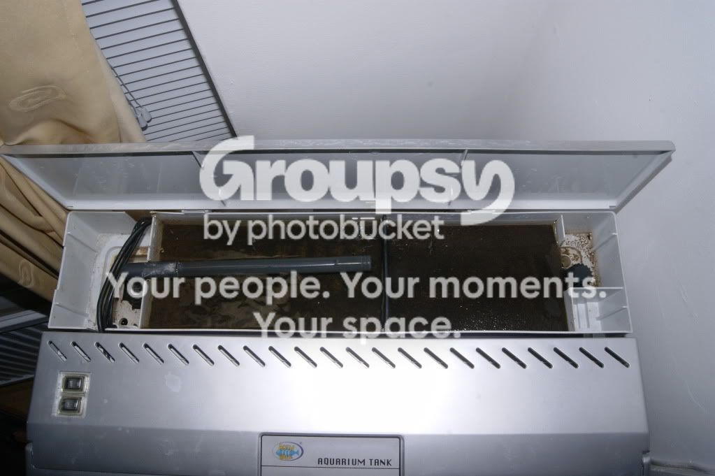 _DSC0080.jpg