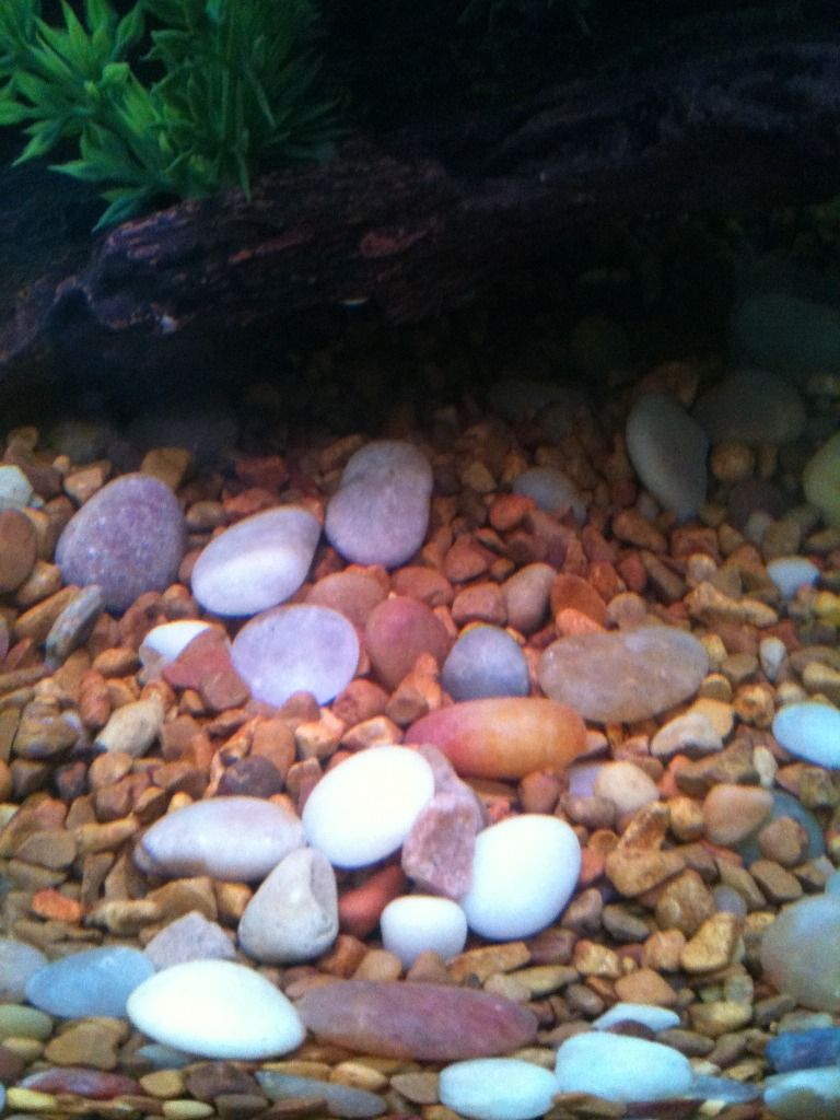 photo-3.jpg
