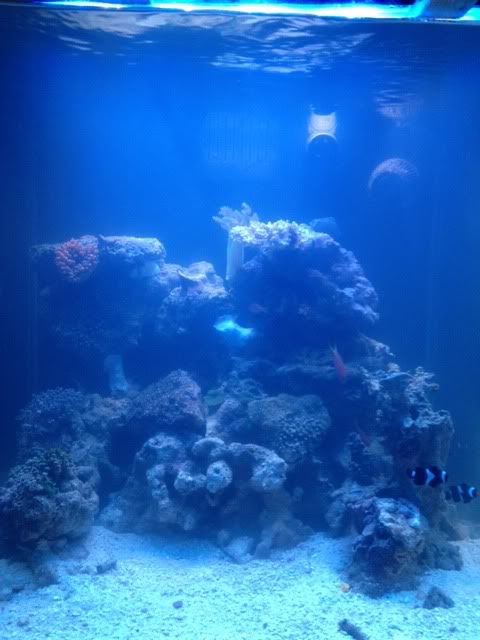 photo1-6.jpg