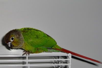 HPIM0407.jpg
