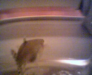 Picture019.jpg