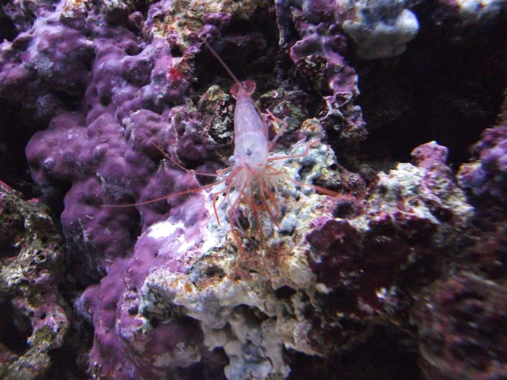 DSCF0626.jpg