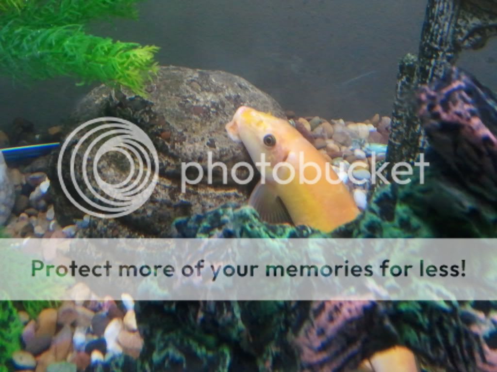 2011-10-29194659.jpg