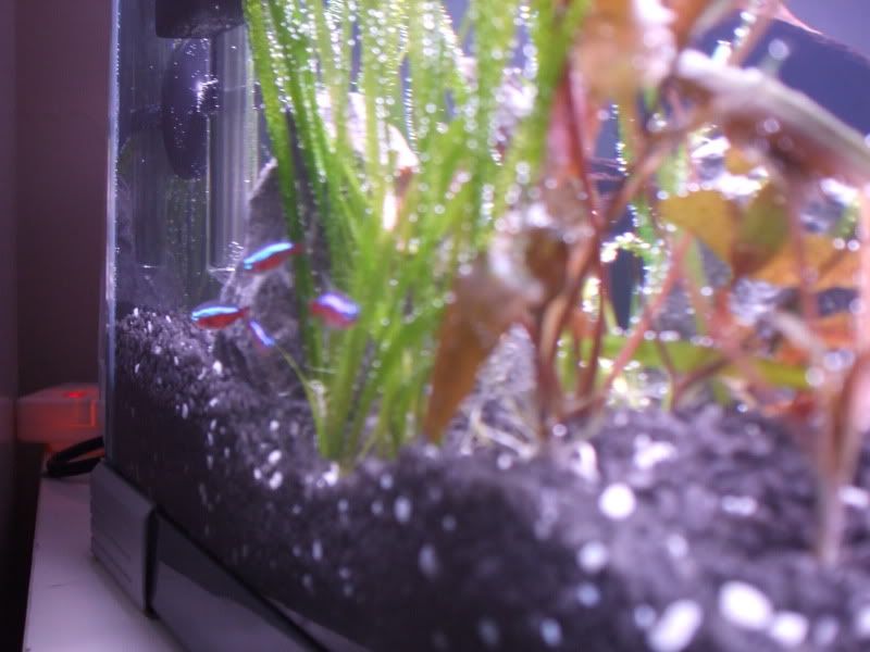 DSCF2190.jpg