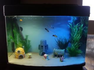 20121015_105649.jpg