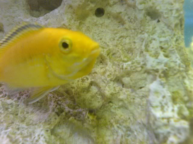 DSC00313.jpg