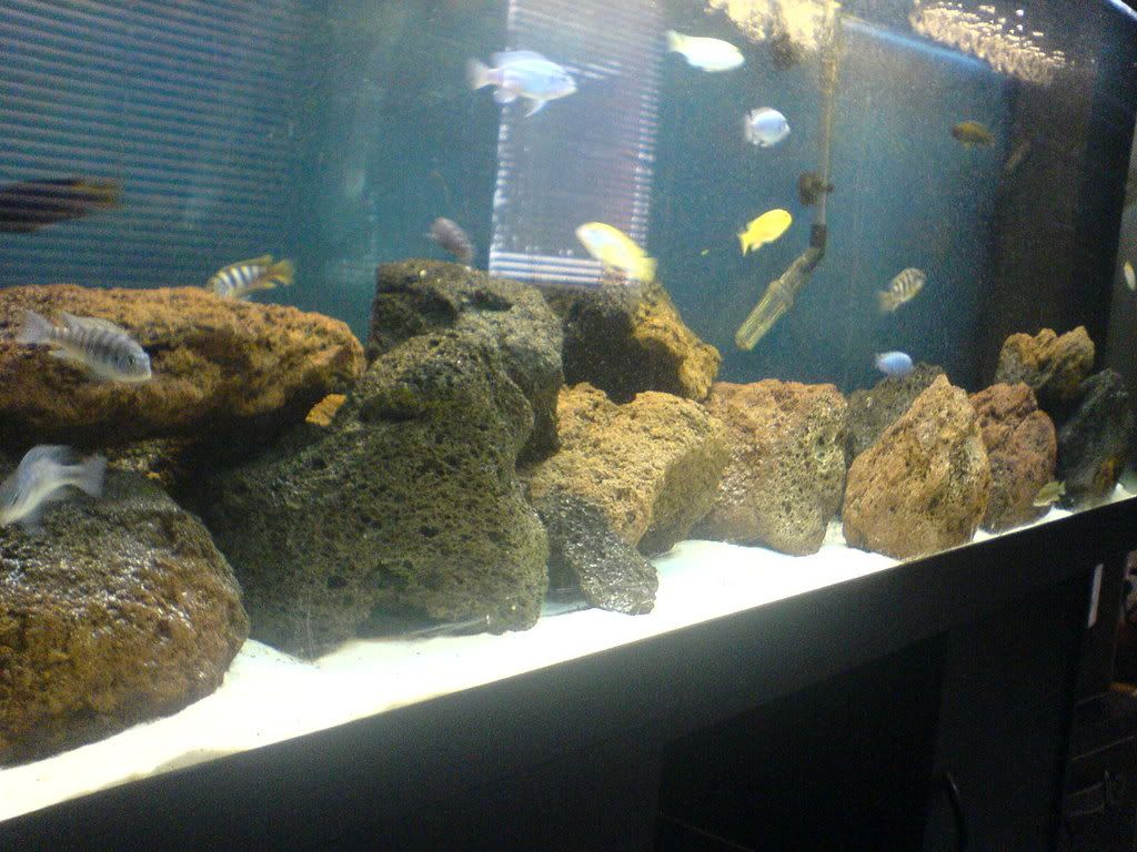DSC02275.jpg