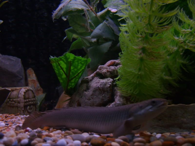 S5001286.jpg