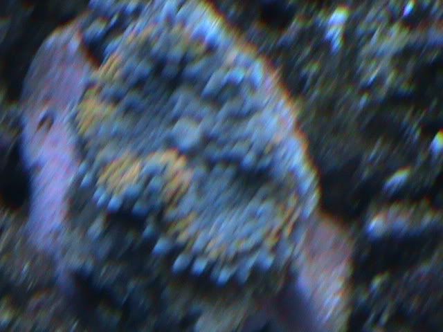 DSC00034.jpg