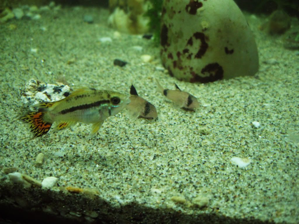 IMG_5461.jpg