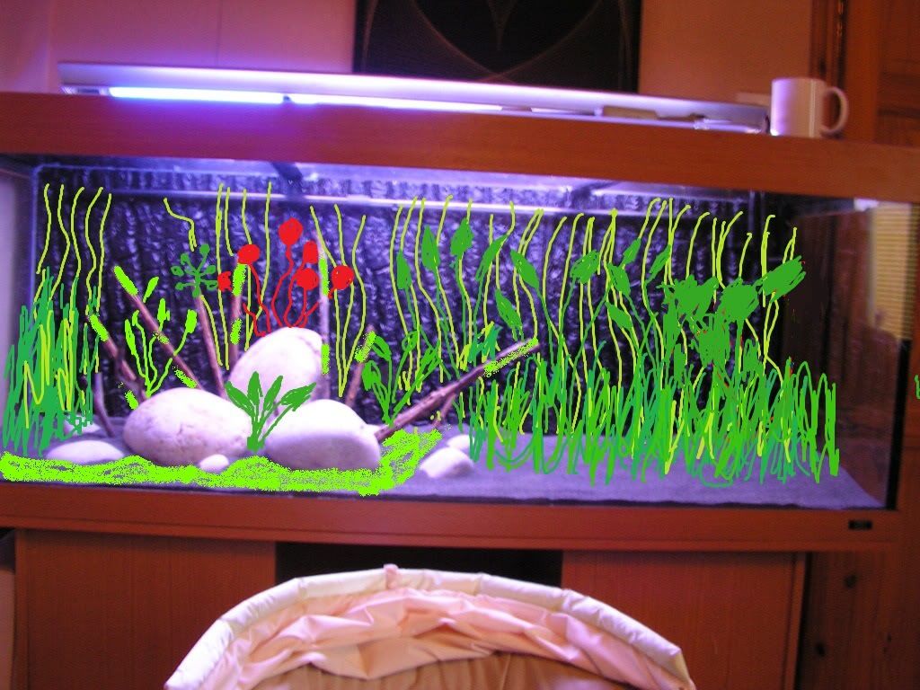 PICT1131df.jpg