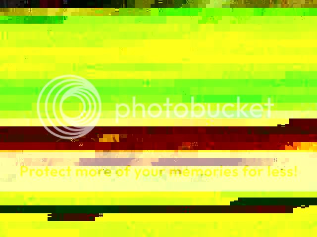 tank4.jpg