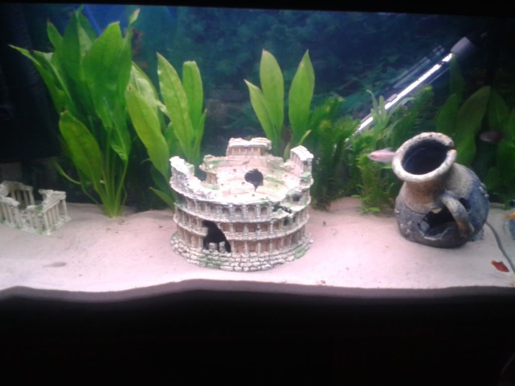 2012-06-02223533.jpg