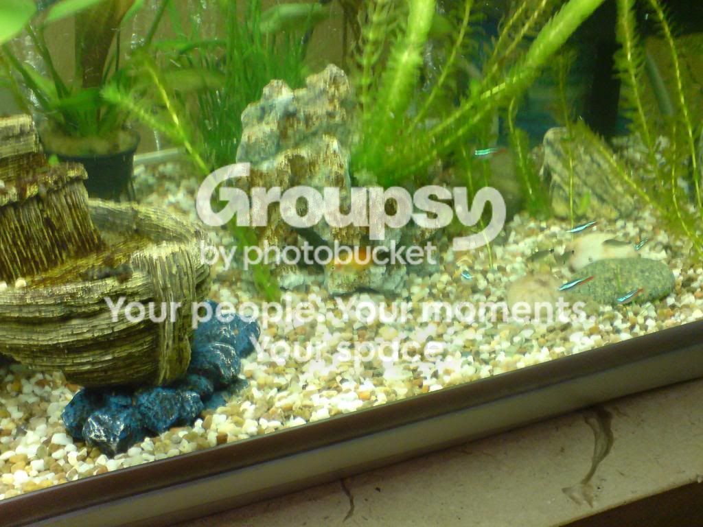 DSC00001.jpg