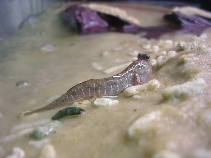 DSCN2992.jpg