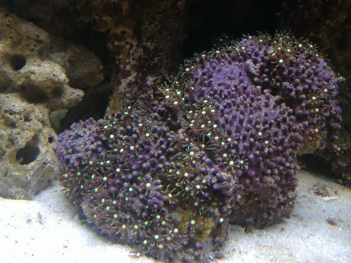 DSCF0501.jpg