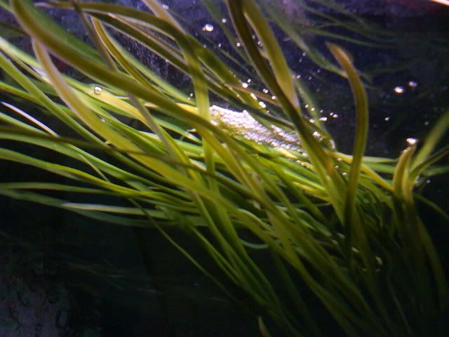 DSC00725.jpg