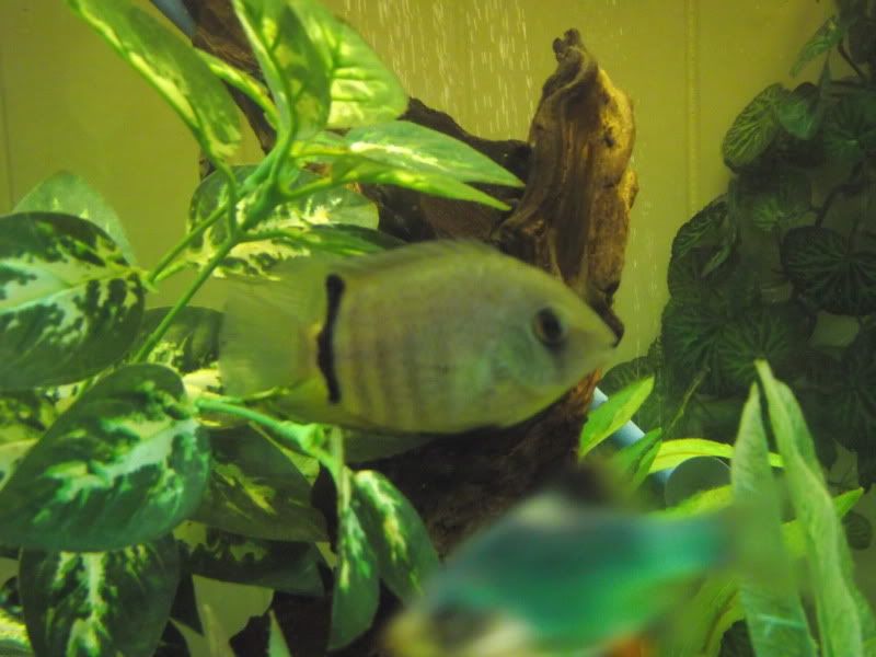 DSCF1593.jpg