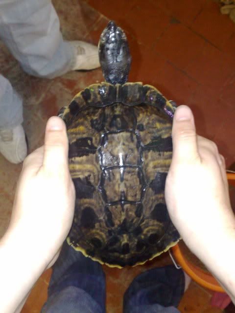030920091258.jpg