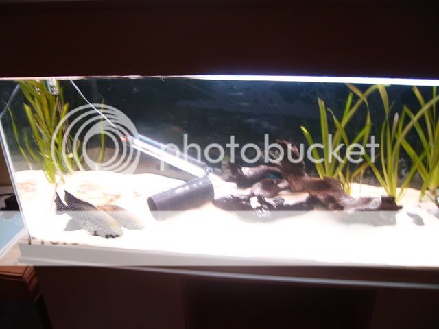 PICT0970.jpg