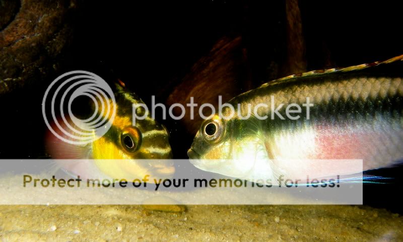 IMGP0559.jpg