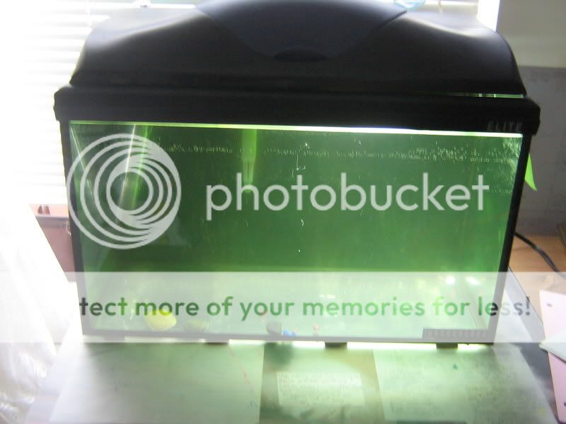fishtank007.jpg