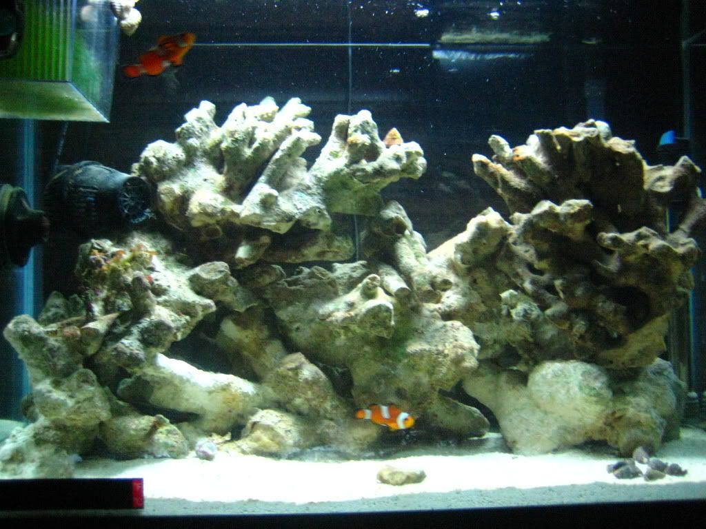 IMG_0436.jpg
