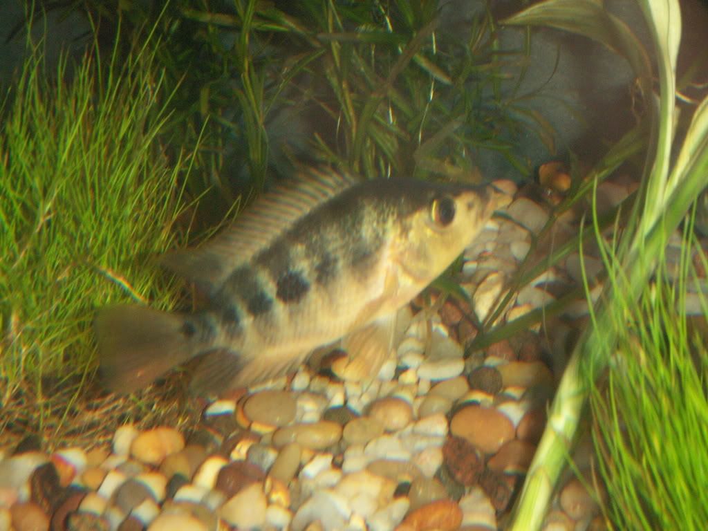 PICT1033.jpg