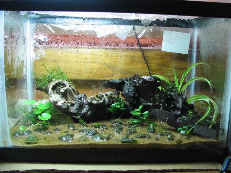 25growth001.jpg