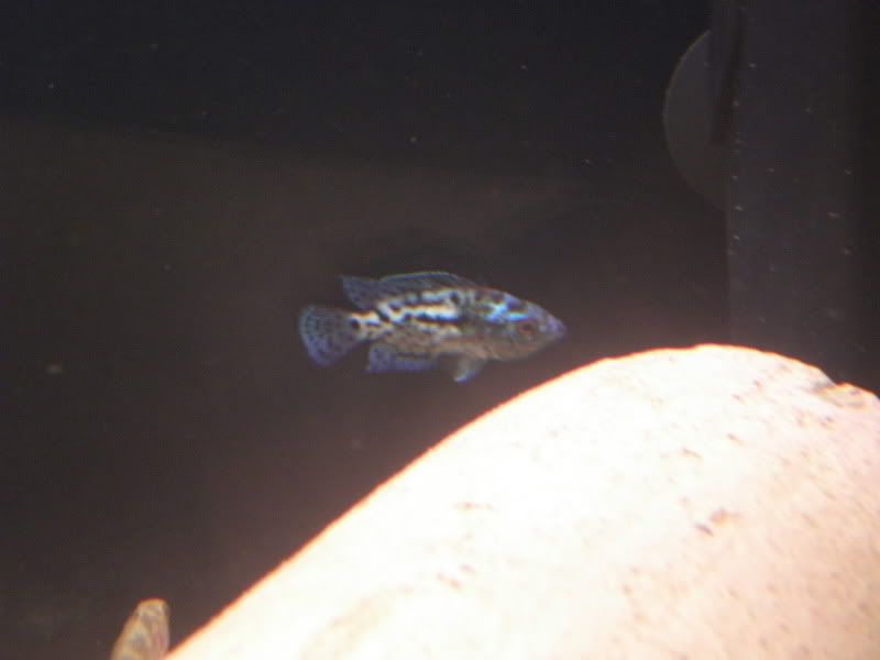 PC020084.jpg