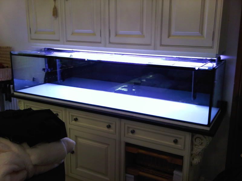 IMG00276-20101125-2115.jpg