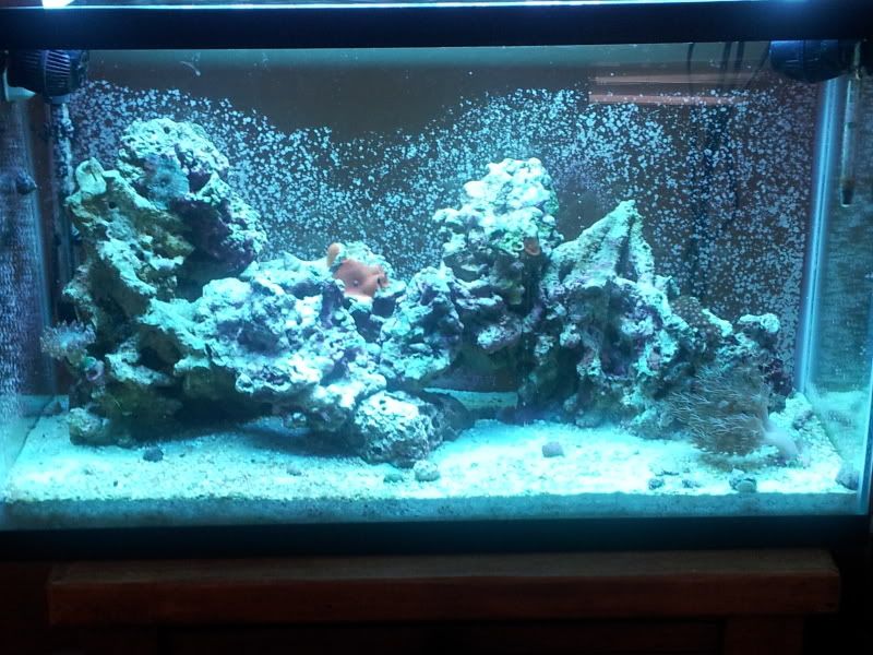 20120225_135447.jpg