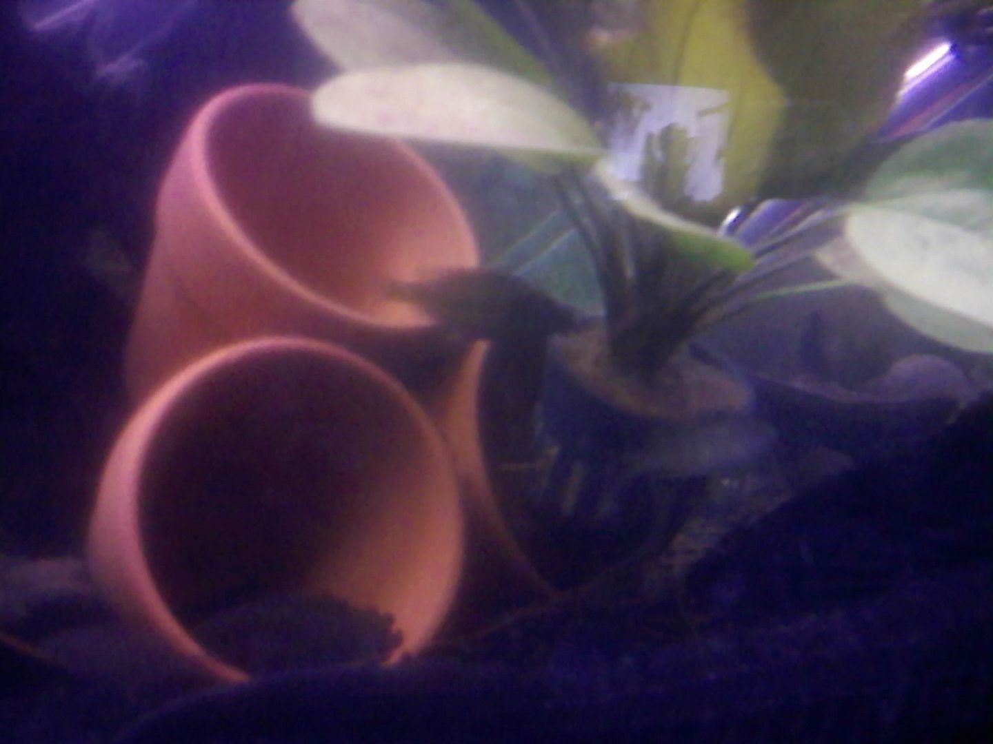 0520090107.jpg