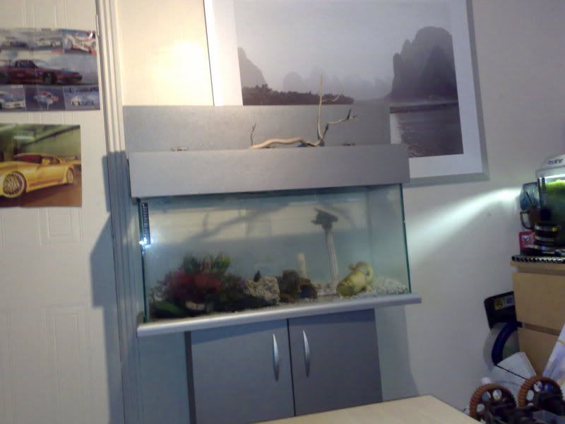 29022008528.jpg