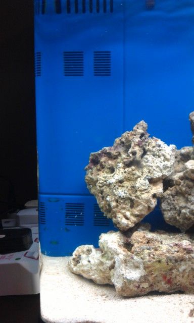 IMAG0929.jpg