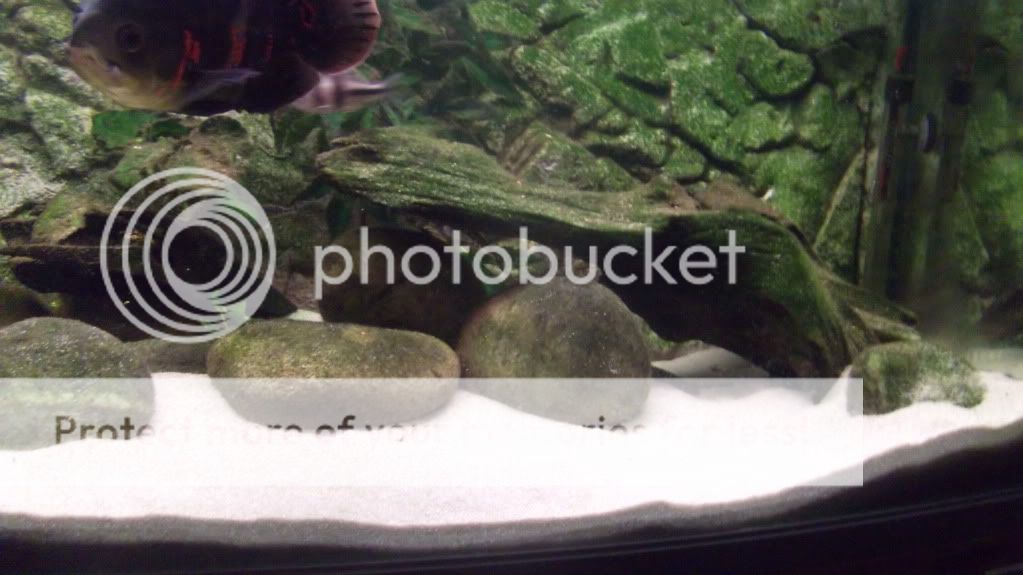 DSCF4258.jpg