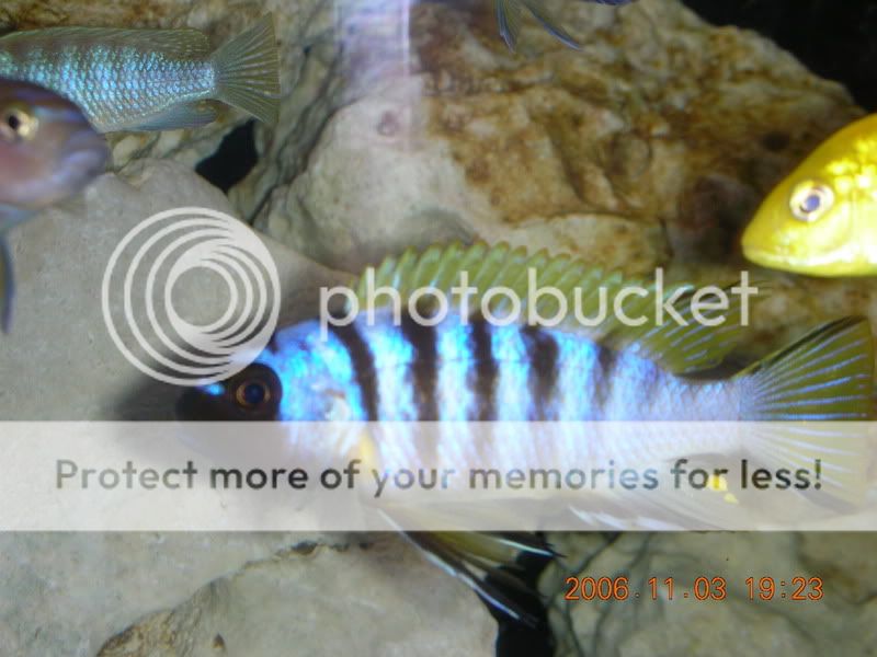 DSCN1337.jpg