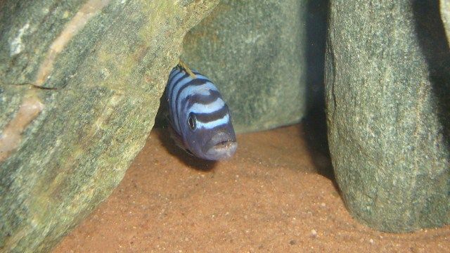 DSC03248.jpg