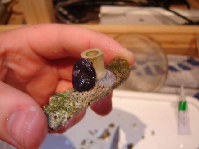 DSC05797.jpg