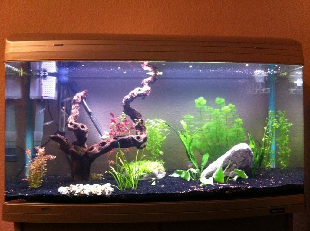 photo14.jpg