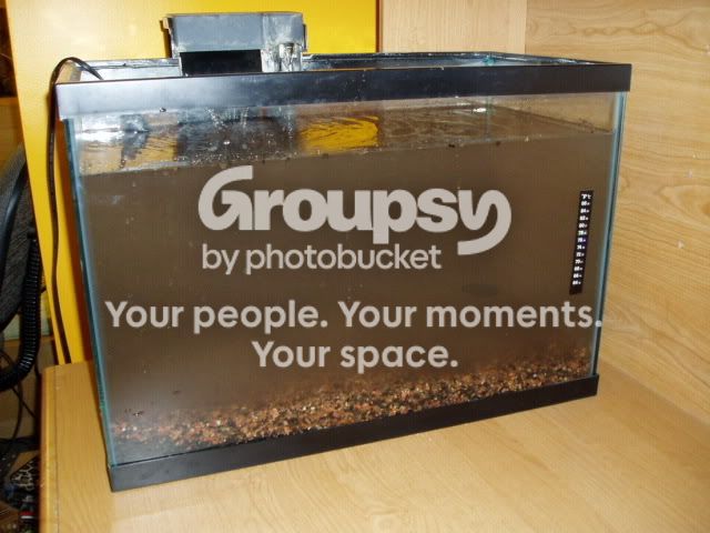 PA092717.jpg