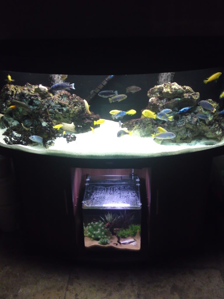 Newtank011.jpg