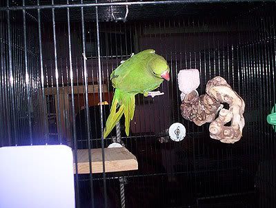04-7.jpg