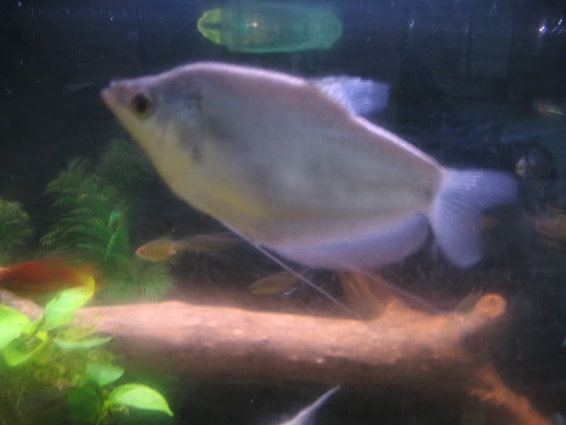 IMG_2564.jpg