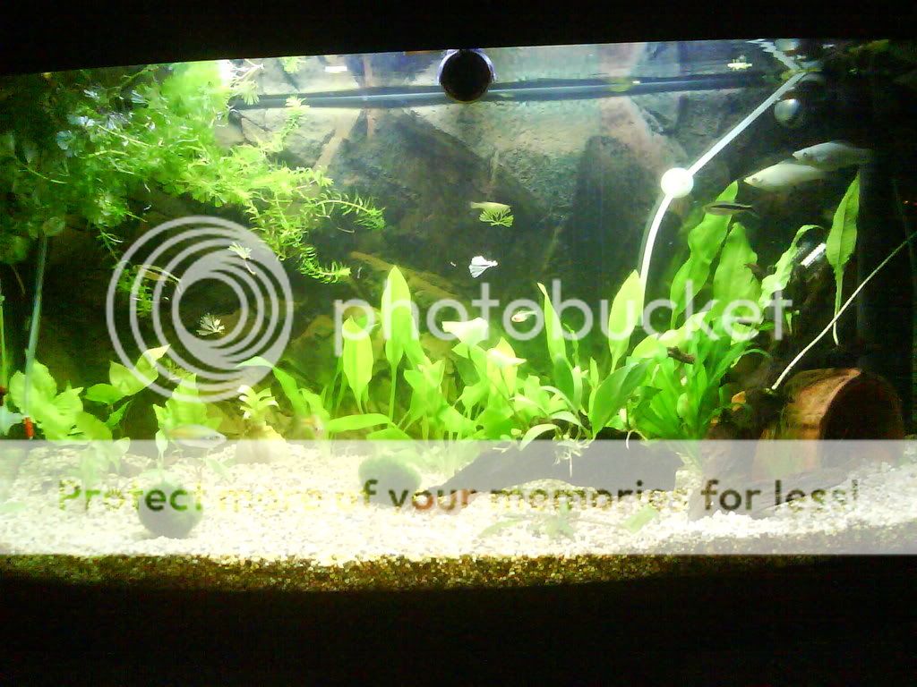newlayout001.jpg