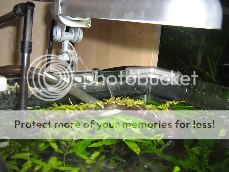Tank003.jpg