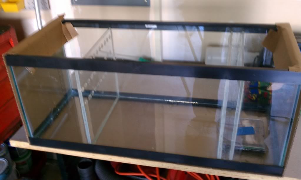 IMAG0111.jpg