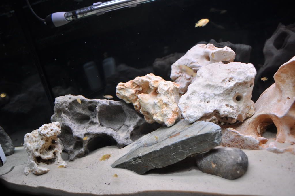 DSC_0495.jpg