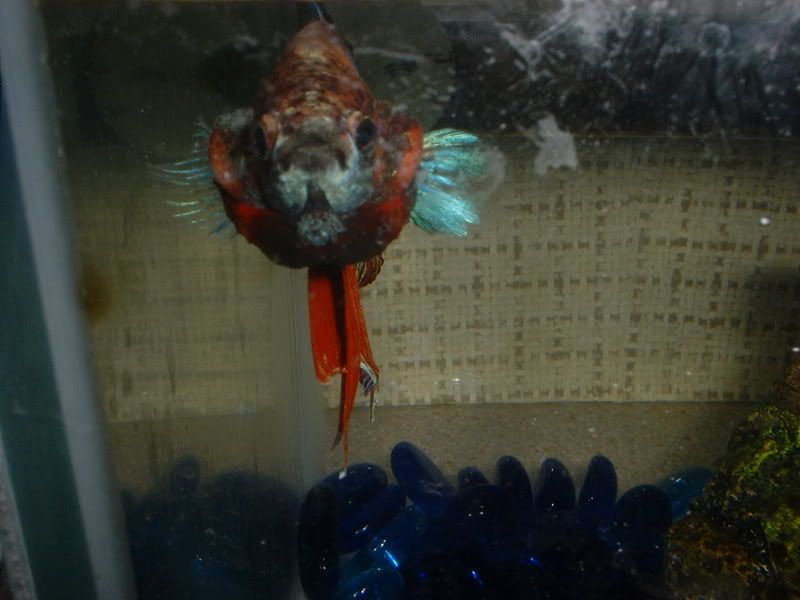 DSCF1561.jpg
